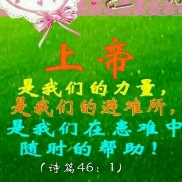 安卓版读圣经老版本鸽子有声圣经-第2张图片-太平洋在线下载